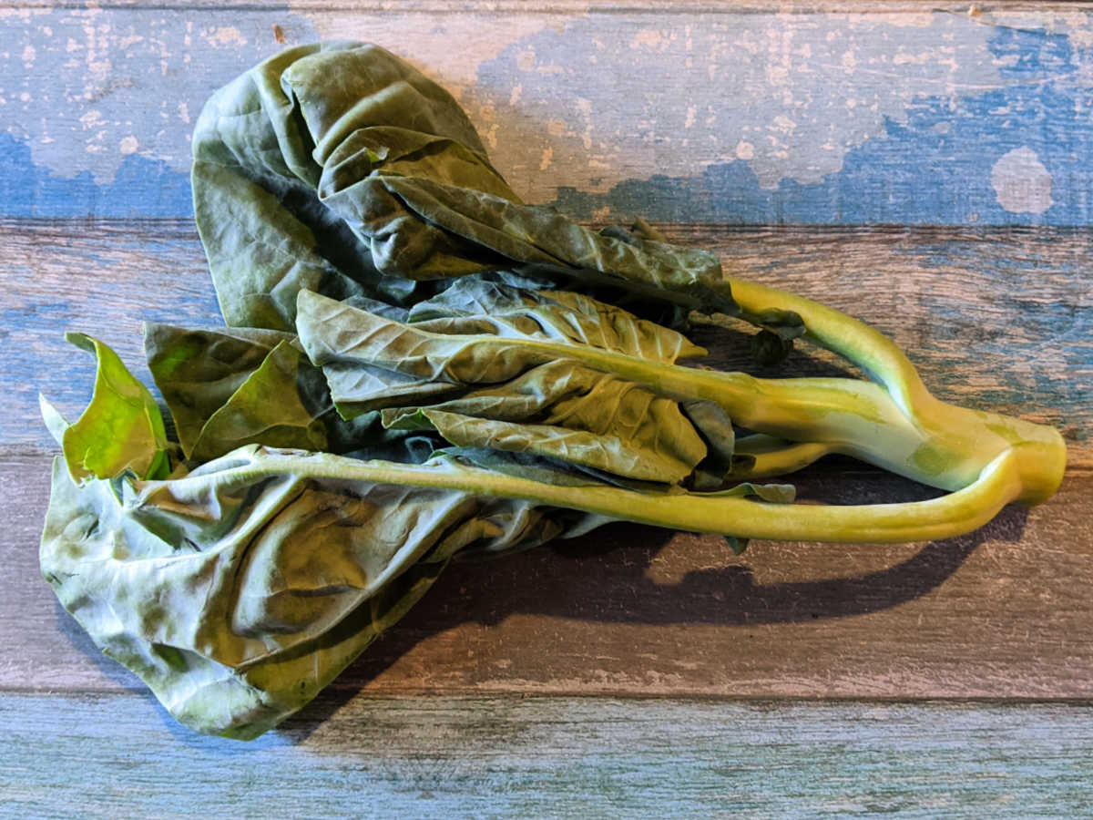 chinese broccoli gai lan