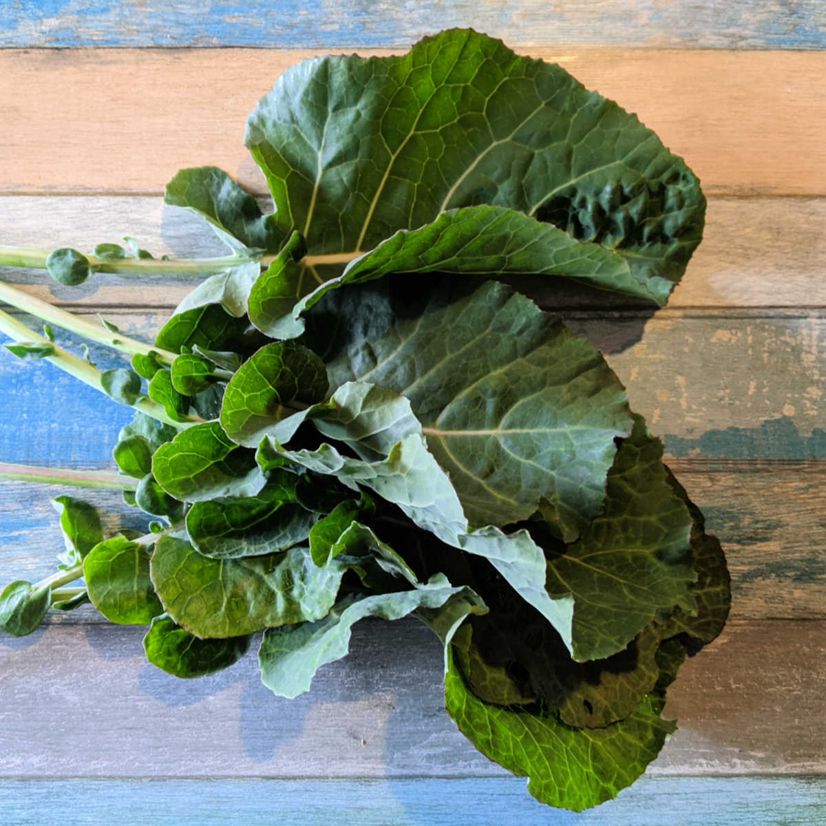 fresh collard greens