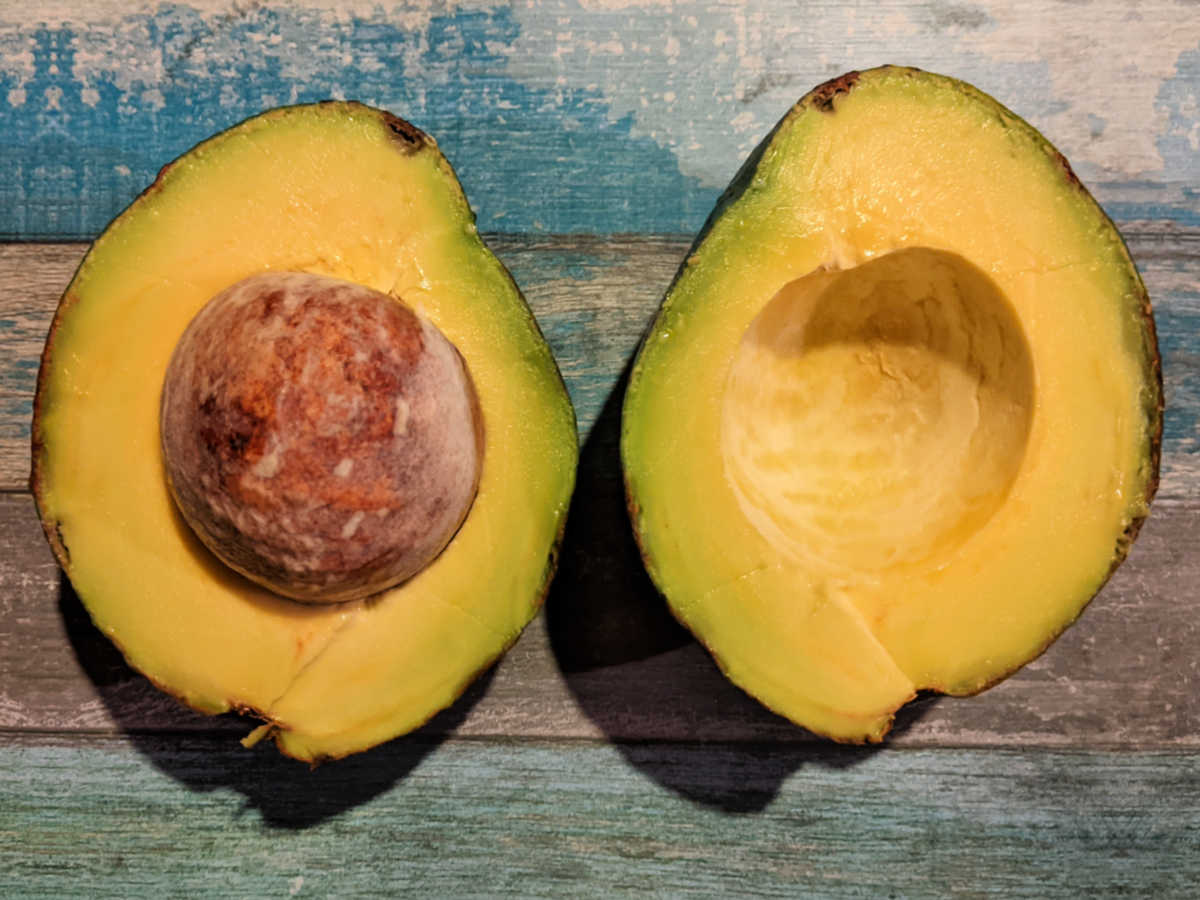 large avocado halves