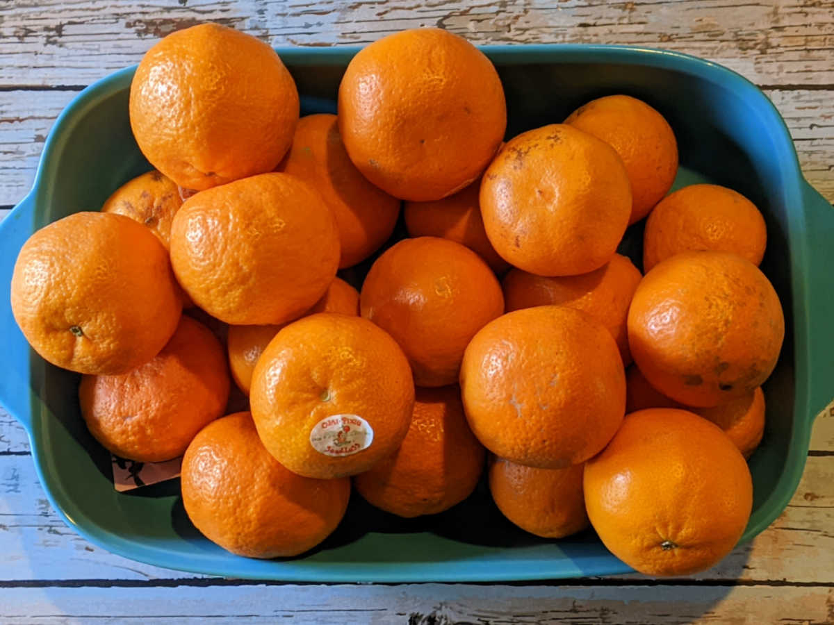bowl of ojai pixie tangerines