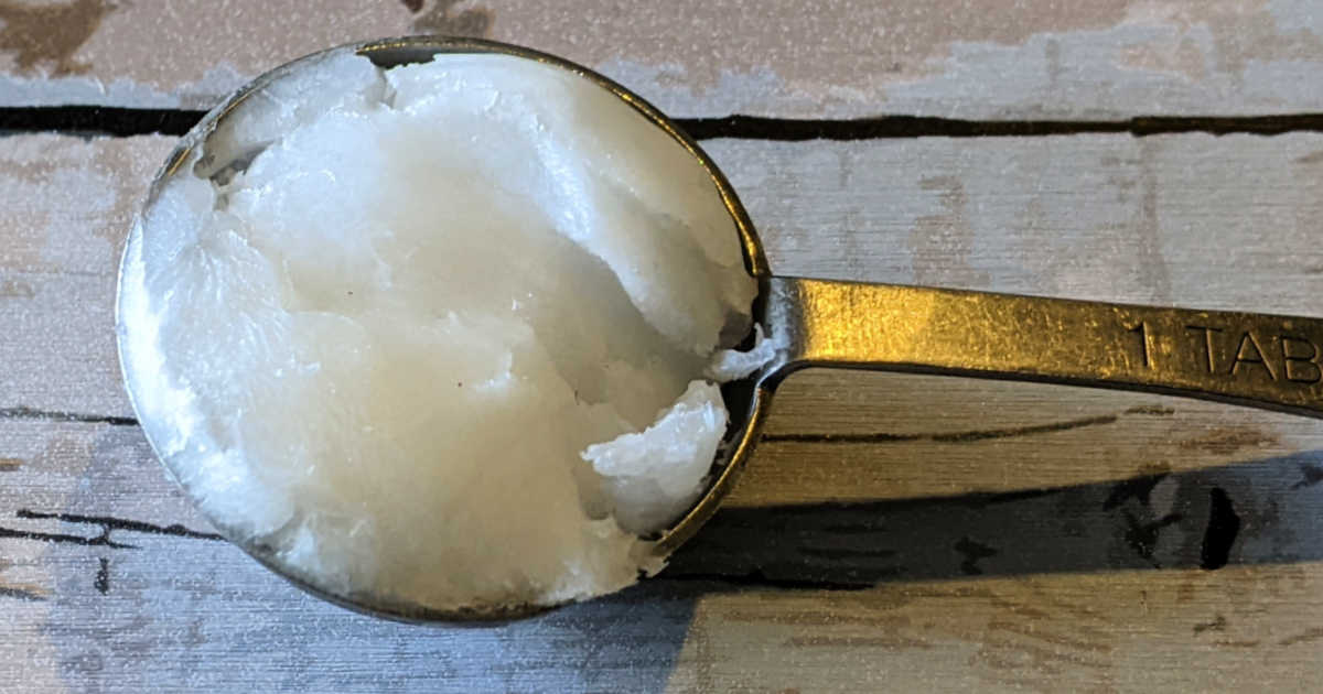 solid coconut oil