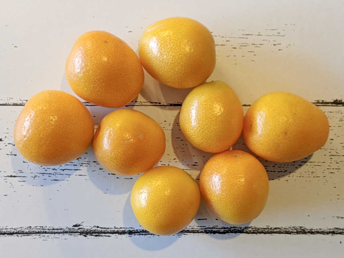 whole kumquats
