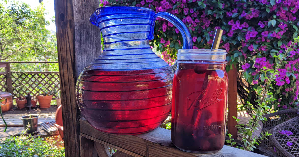 feature cherry hibiscus sun tea