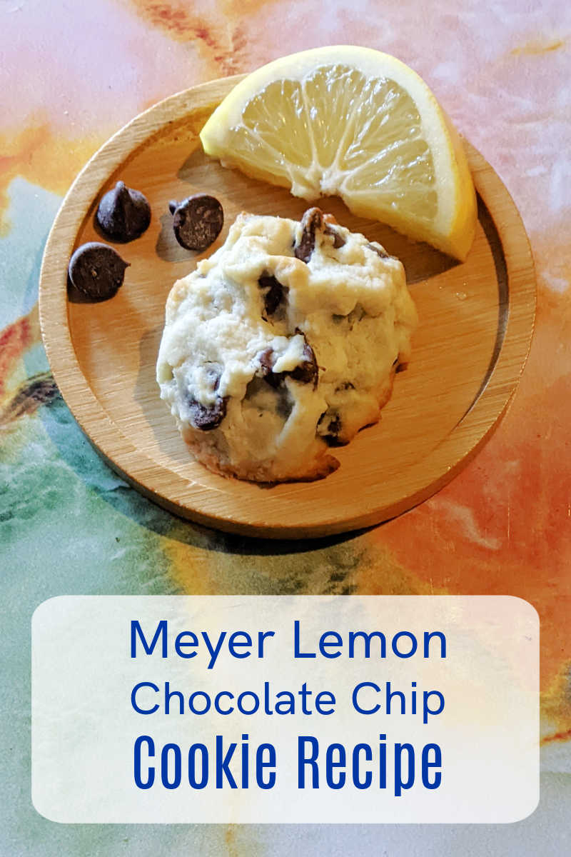 Ditch the store-bought and bake up a batch of homemade happiness with these vibrant Meyer Lemon Chocolate Chip Cookies. Bursting with zesty citrus and melty chocolate chips, these cookies are easy to mix up and perfect for any occasion.