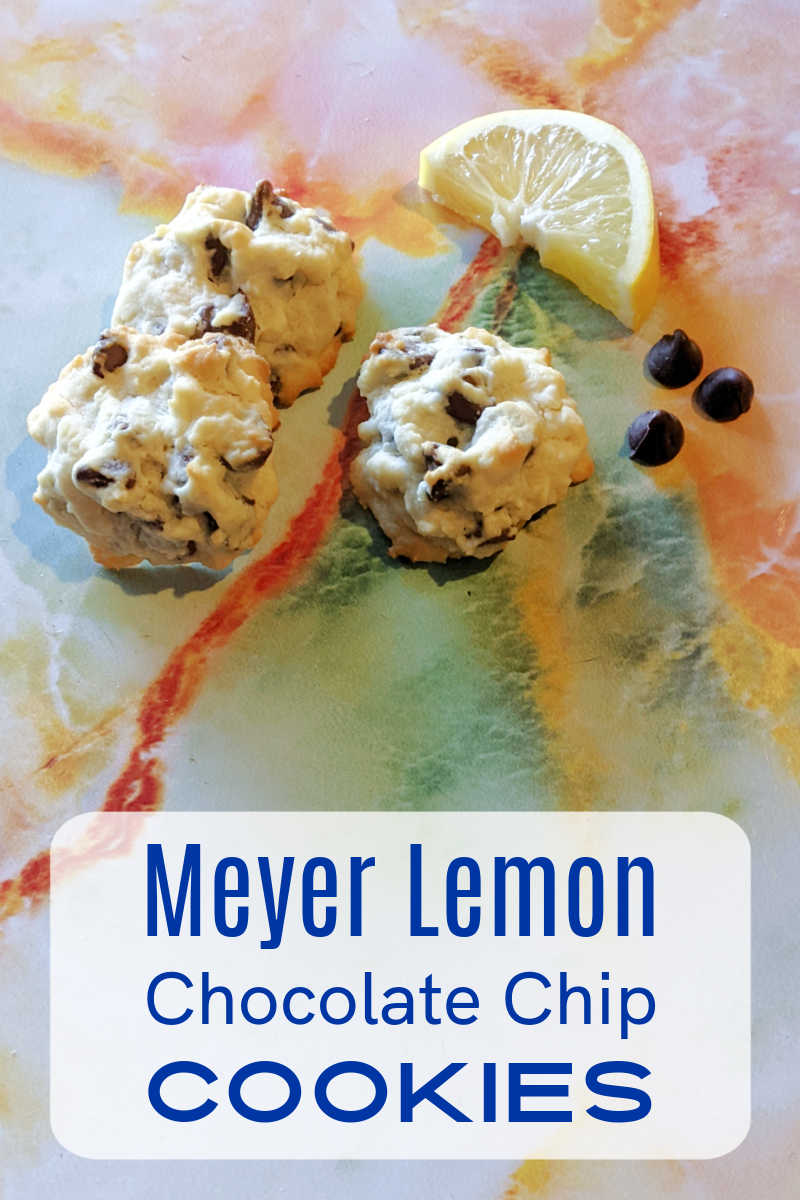 Ditch the store-bought and bake up a batch of homemade happiness with these vibrant Meyer Lemon Chocolate Chip Cookies. Bursting with zesty citrus and melty chocolate chips, these cookies are easy to mix up and perfect for any occasion.