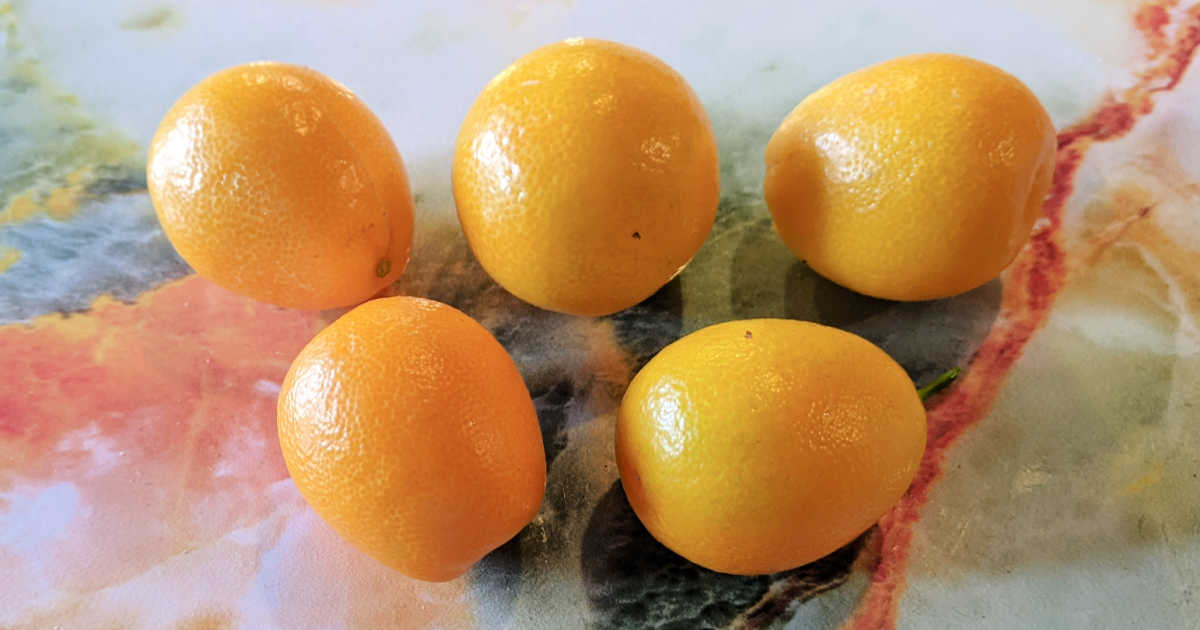 five kumquats