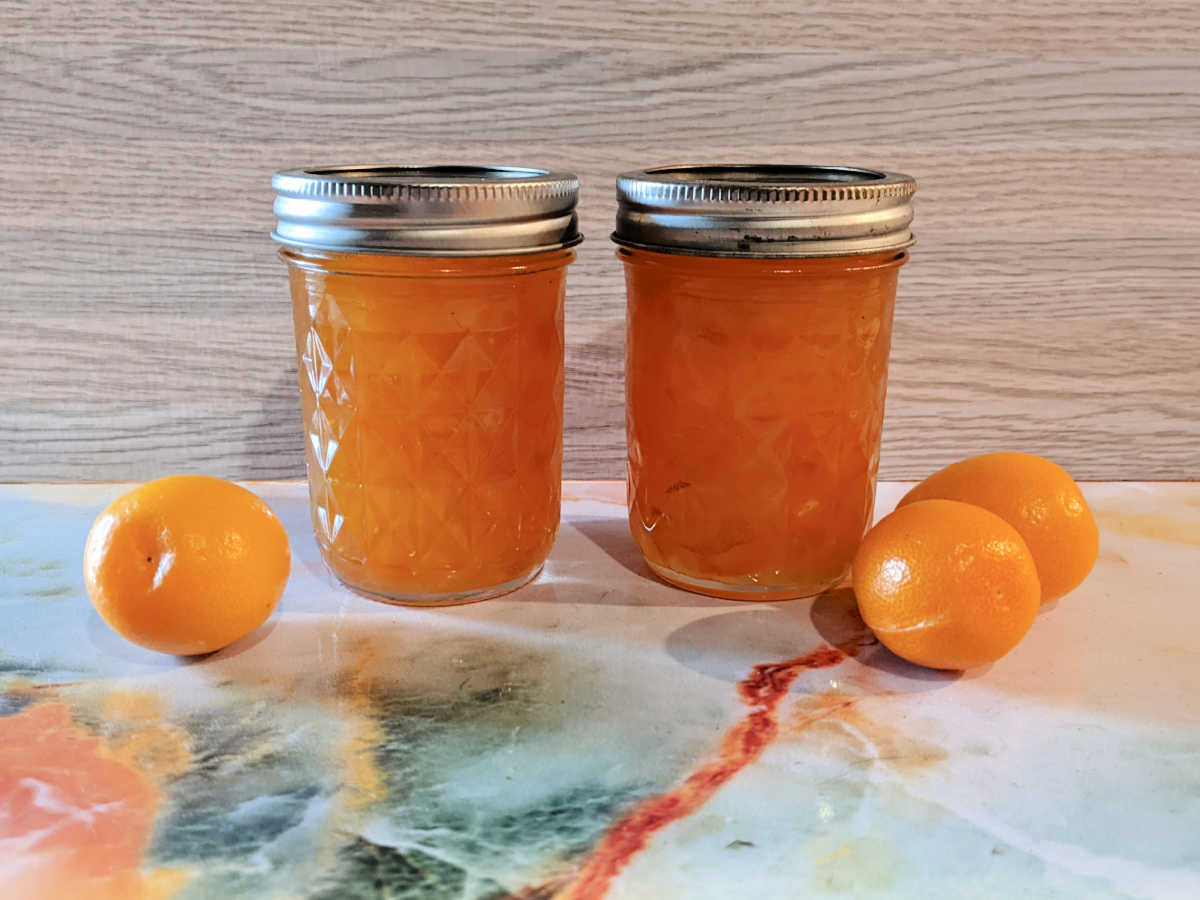 homemade kumquat jam