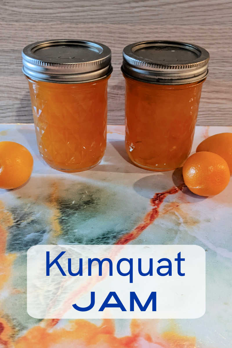 When you crave a bright, citrusy spread without the fuss, this kumquat jam recipe delivers! Tart and tangy kumquats transform into a vibrant jam in just 30 about minutes!