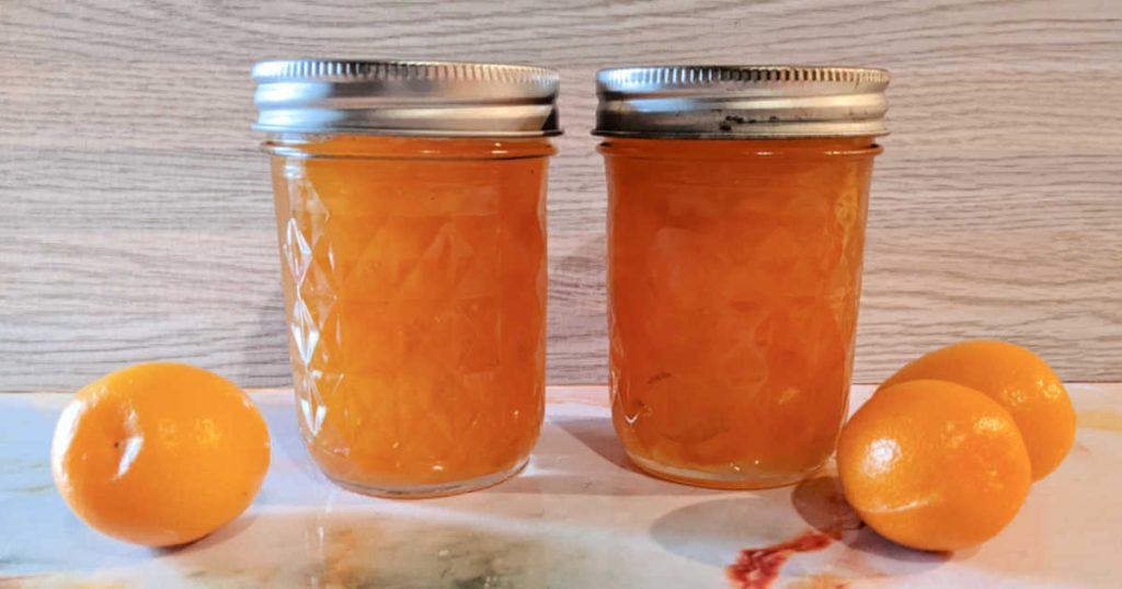 Sunshine in a Jar Easy Kumquat Jam Recipe with No Pectin Mama Likes