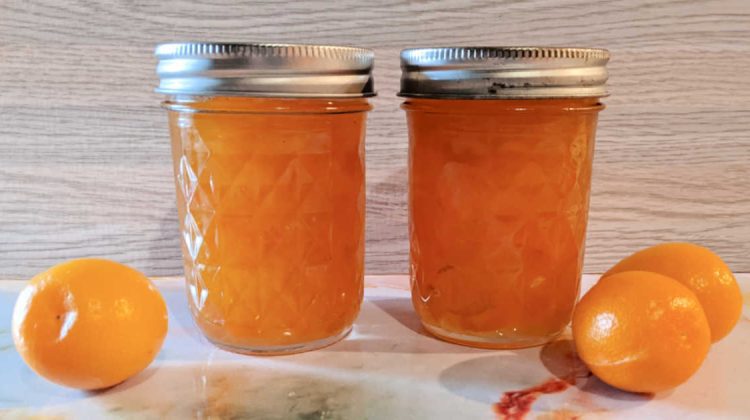 mason jars of kumquat jam