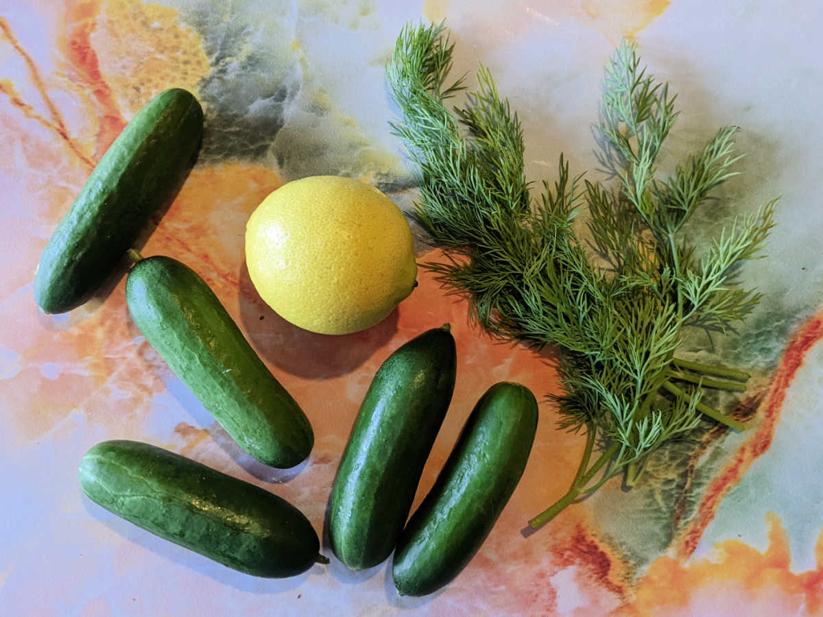 cucumbers lemon dill