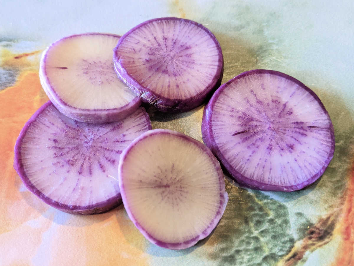 purple radish slices