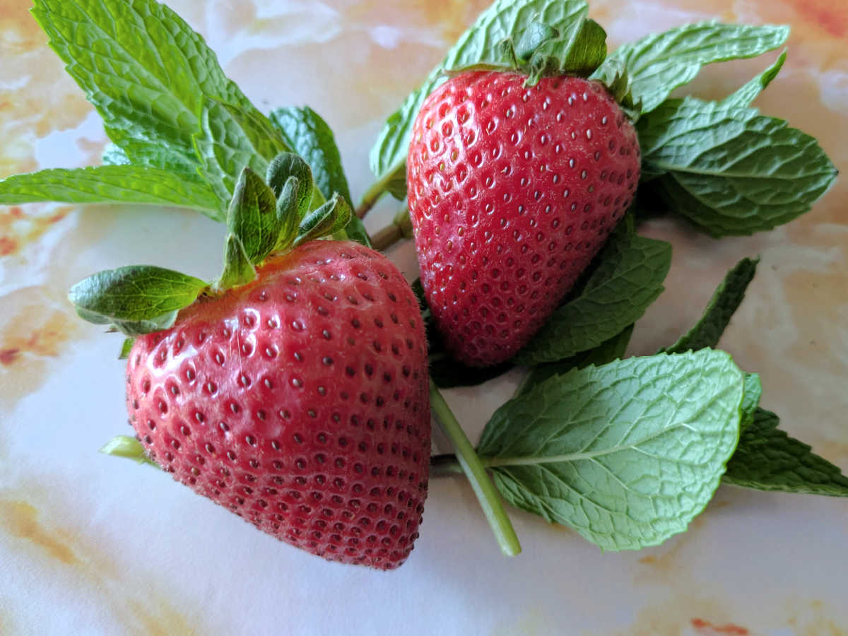 fresh mint and strawberries