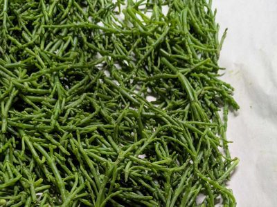 melissas sea beans vegetable from mexico