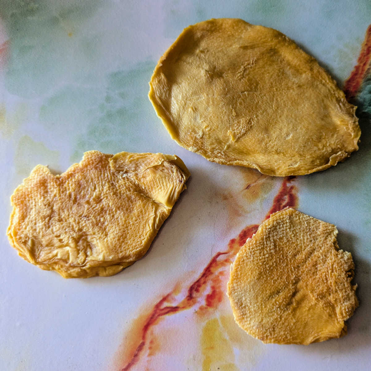 fruit for thought dried mango