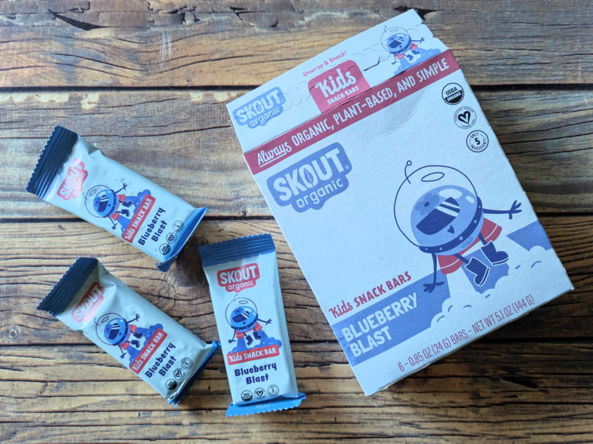 skout organic snack bars blueberry blast
