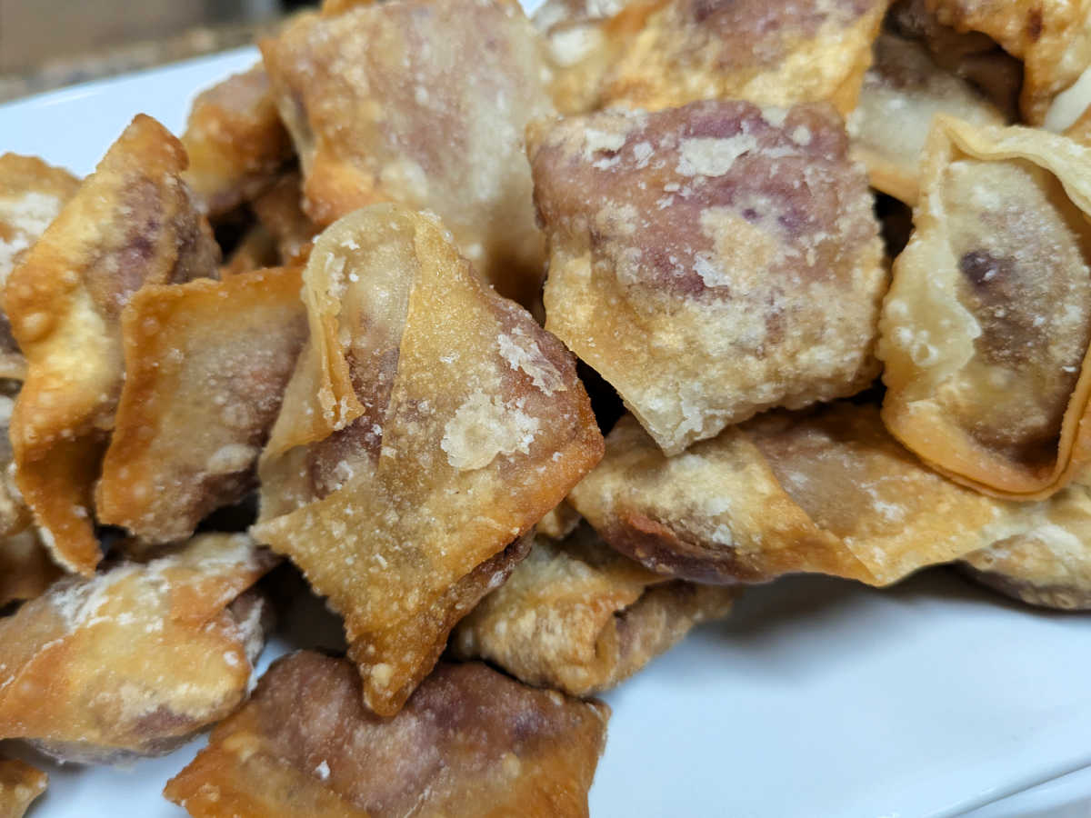 asian fried won tons