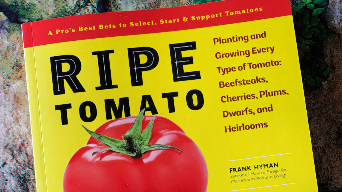 tomato gardening book