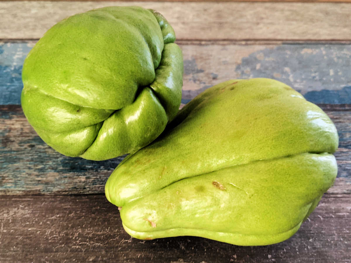two chayote squash