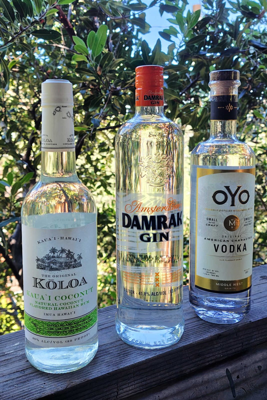 This clear spirits gift guide highlights premium bottles of vodka, gin, and rum crafted for exceptional flavor profiles. Discover why OYO Vodka, Damrak Gin, and Kōloa Coconut Rum make sophisticated gifts for home bartenders.