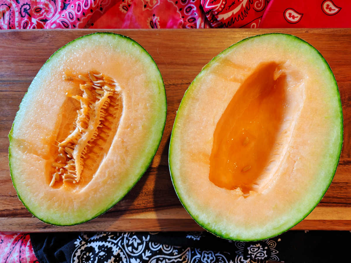 waterloupe melon halves