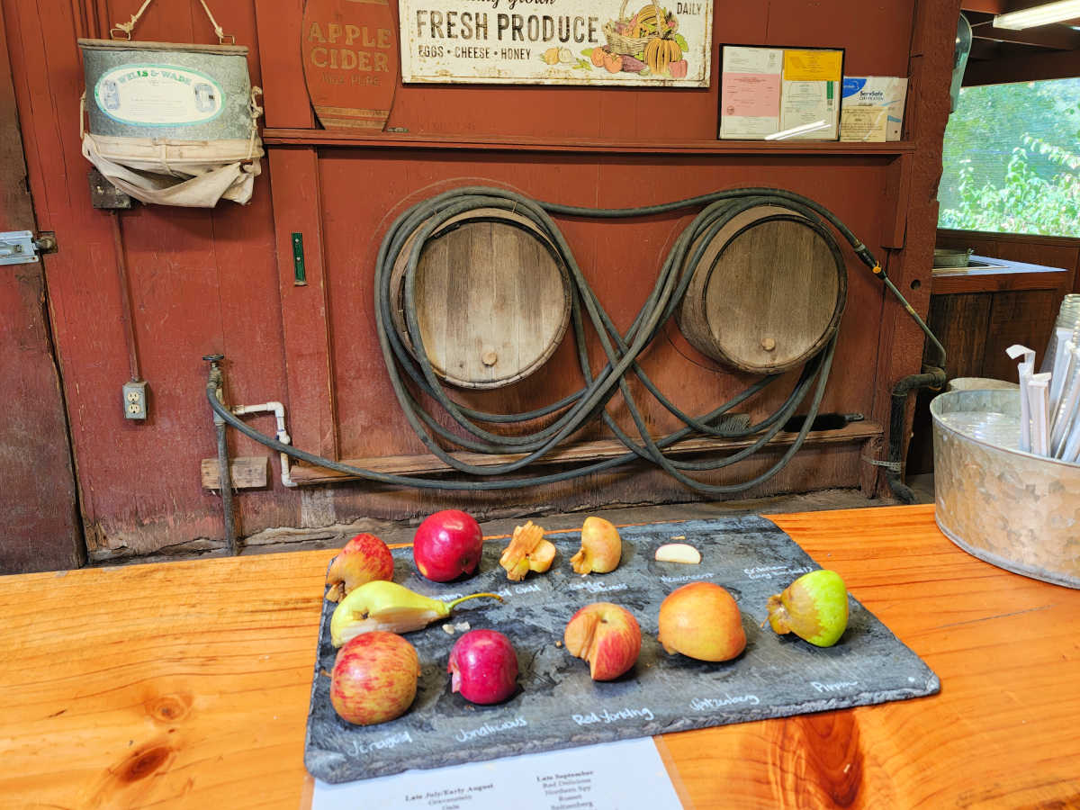 slo apple tasting farm stand
